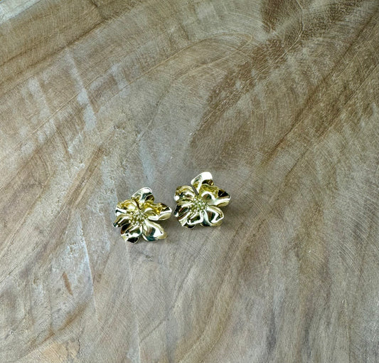 Boucles d'oreilles Nina