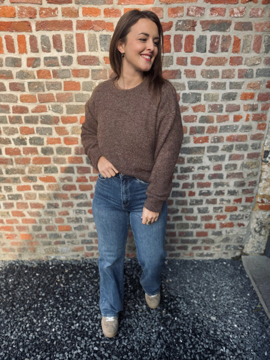 Pull Lyo noisette