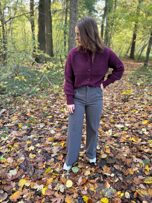 Pantalon Louison gris